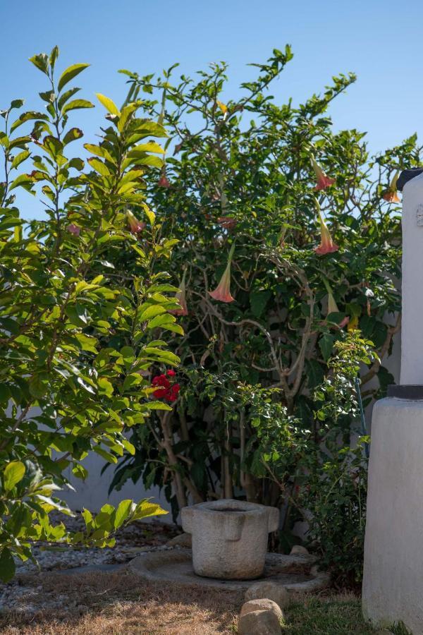 Los Anos Locos Conil De La Frontera Luaran gambar